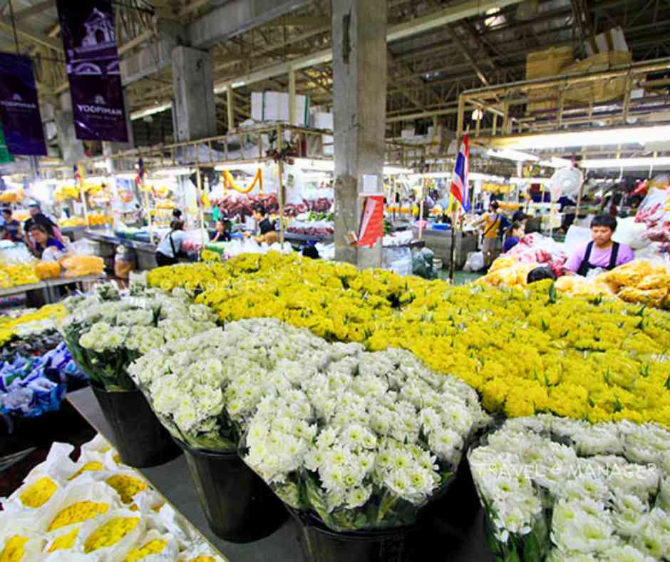 ท่าราชินี (N7 Rajinee) ปากคลองตลาด (Flower Market), ชม มิวเซียมสยาม (Museum of Siam)
